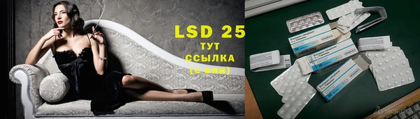 PSILOCYBIN Нягань