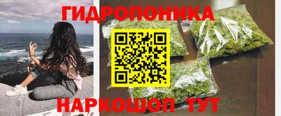 крисы Можайск