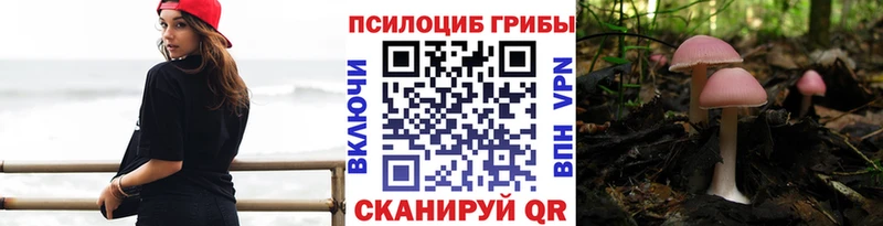 Псилоцибиновые грибы прущие грибы  KRAKEN вход  Одинцово 
