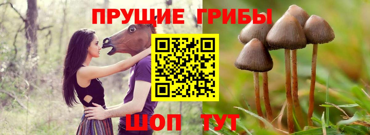 Галлюциногенные грибы мицелий Одинцово